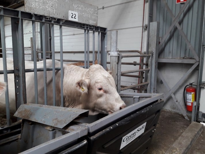 Kuva 2_UkkolaOuti.jpg